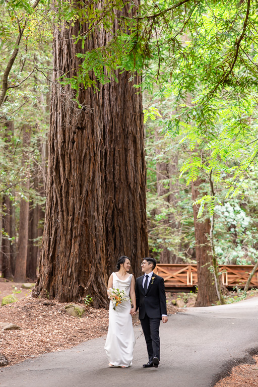 faraway shot of wedding couple walking along a forested path