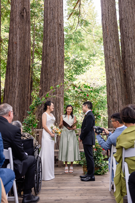 Sanborn County Park wedding ceremony in the redwood forest