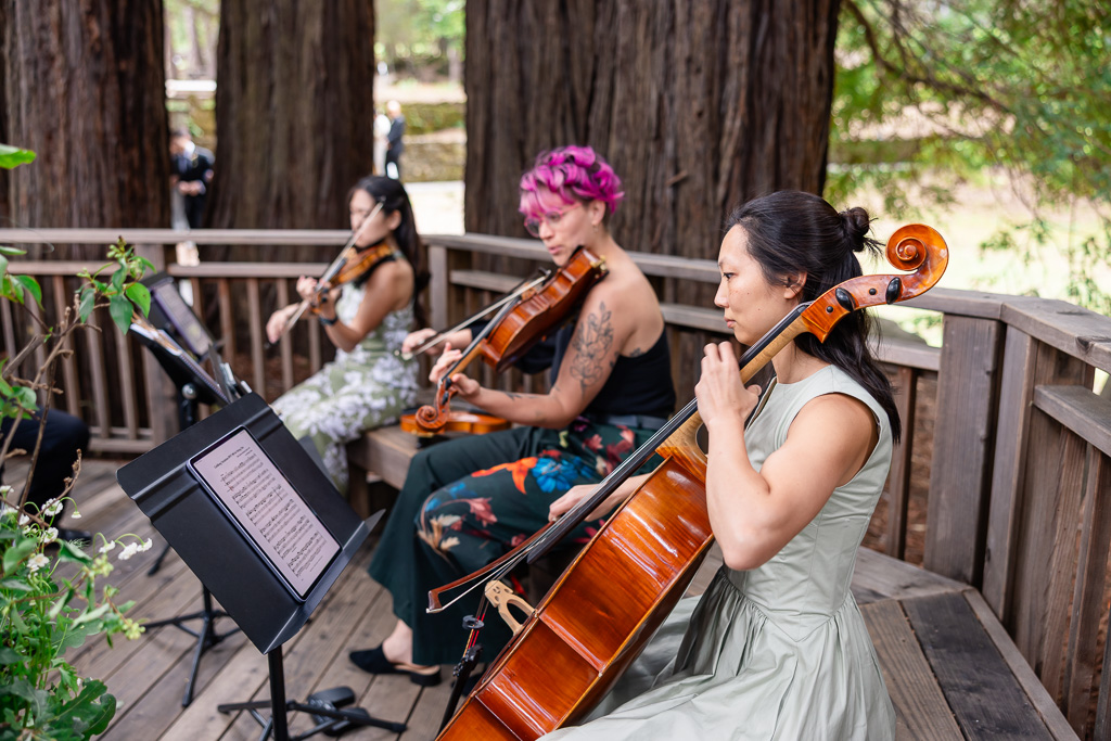 string quartet at wedding