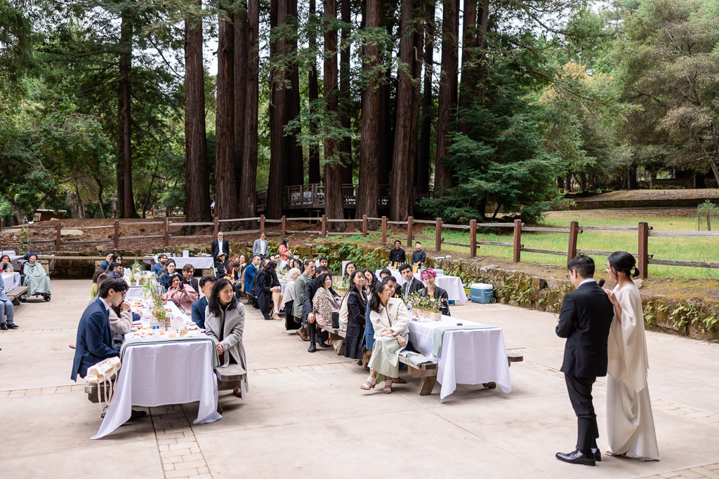Sanborn County Park wedding reception outdoor in the woods