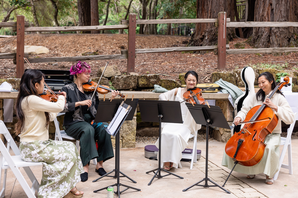 wedding string quartet