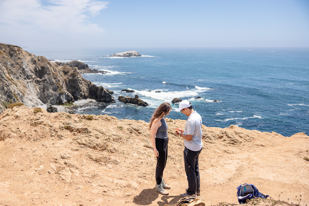 proposal at Tomales Point