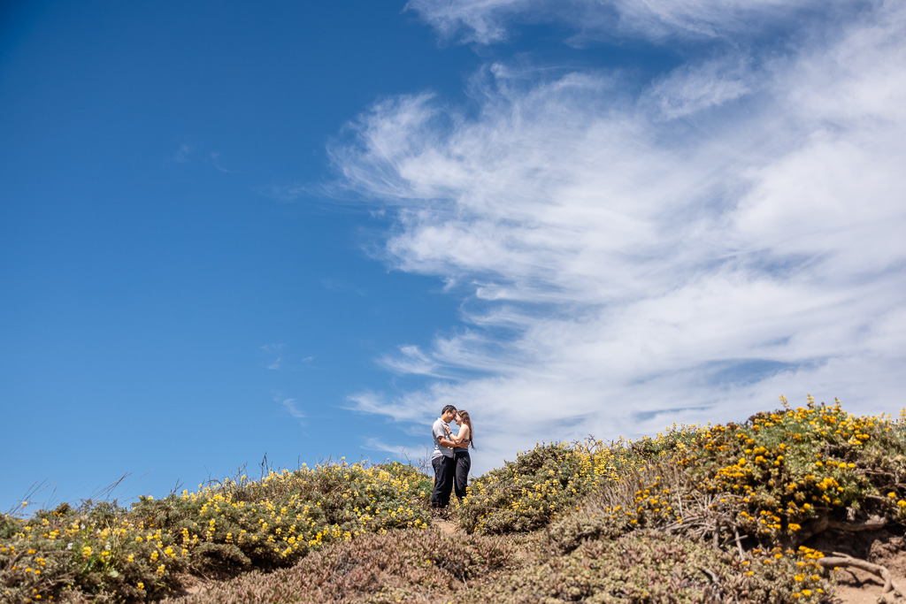 Tomales Point Trail engagement photos