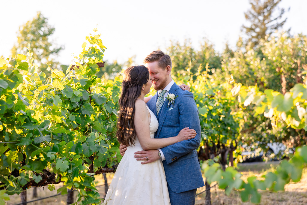 photo in vineyards