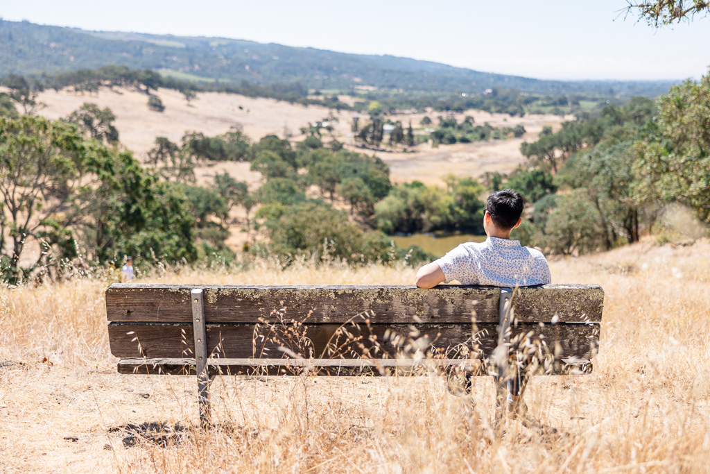 young man sitting alone on a bench atop a hill full of golden grass