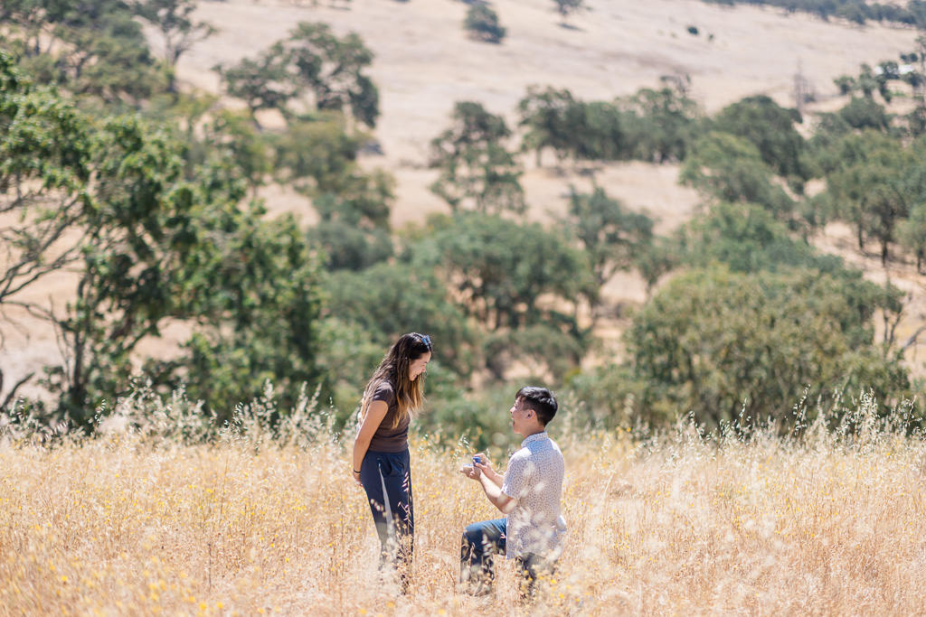 surprise proposal at Sonoma Valley Regional Park
