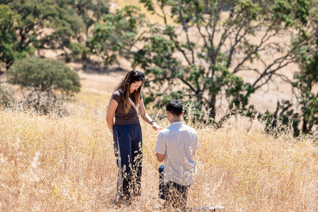 Sonoma Valley Regional Park surprise proposal