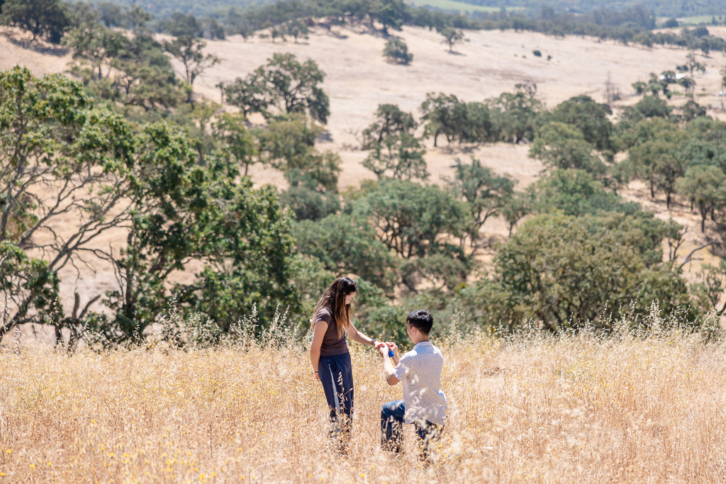 marriage proposal in the hills of Sonoma County
