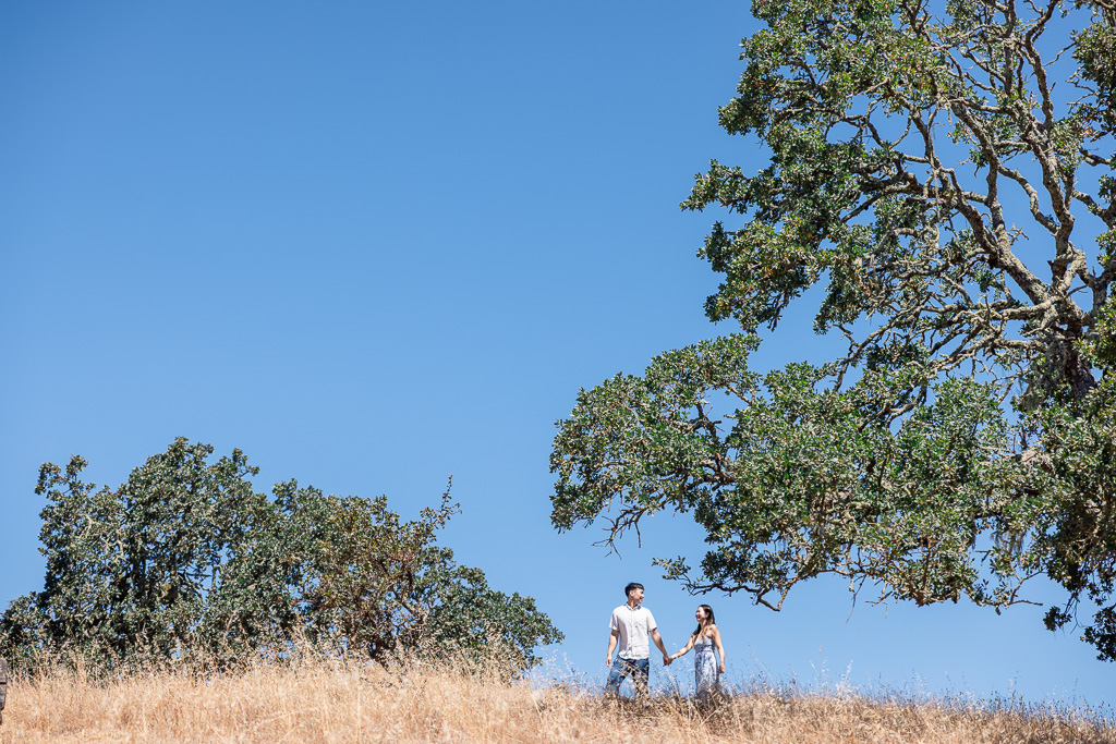 Sonoma Valley Regional Park engagement photo set against the blue sky