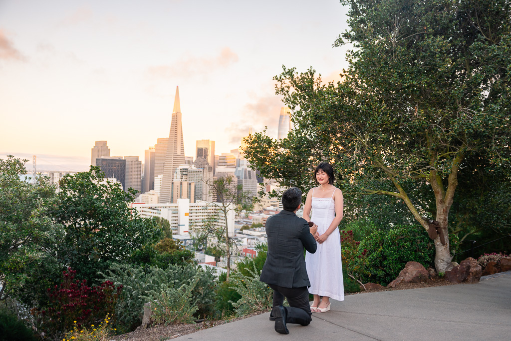 Ina Coolbrith Park sunset proposal