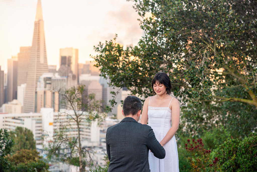 sunset proposal at Ina Coolbrith Park
