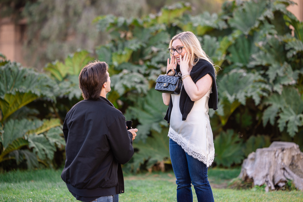initial surprise reaction to proposal