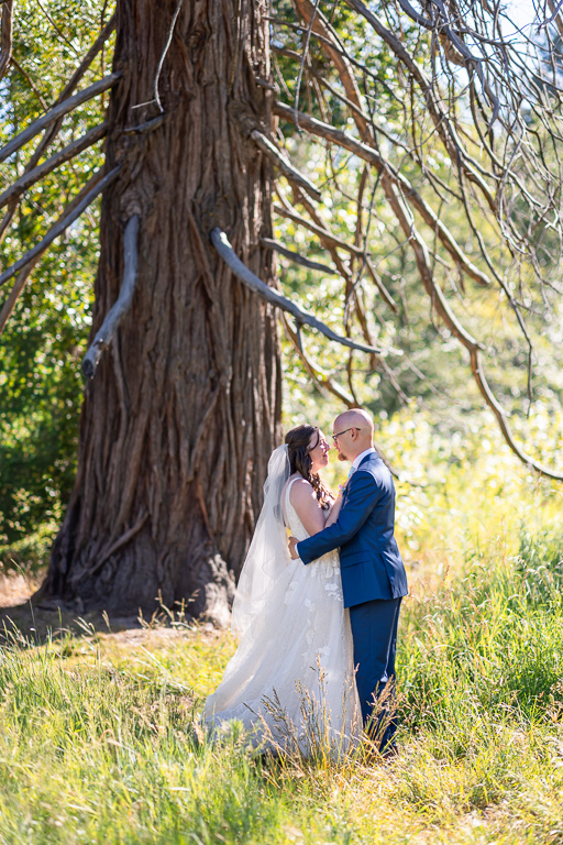 the couple at a tree