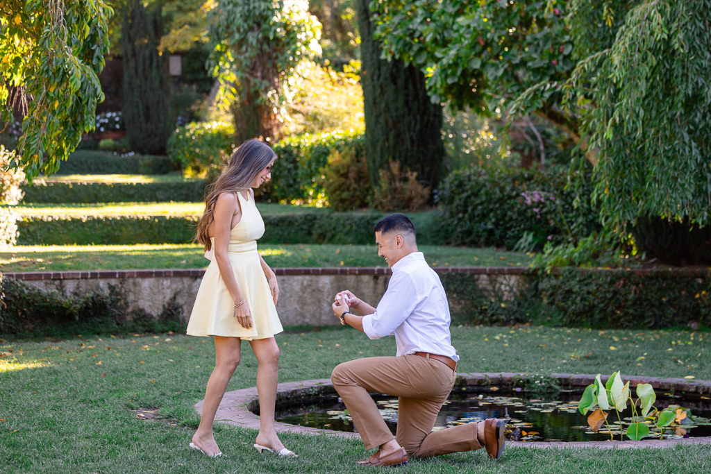 proposal at mini pond at Filoli