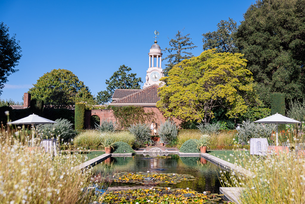 engagement photos at the Sunken Garden at Filoli