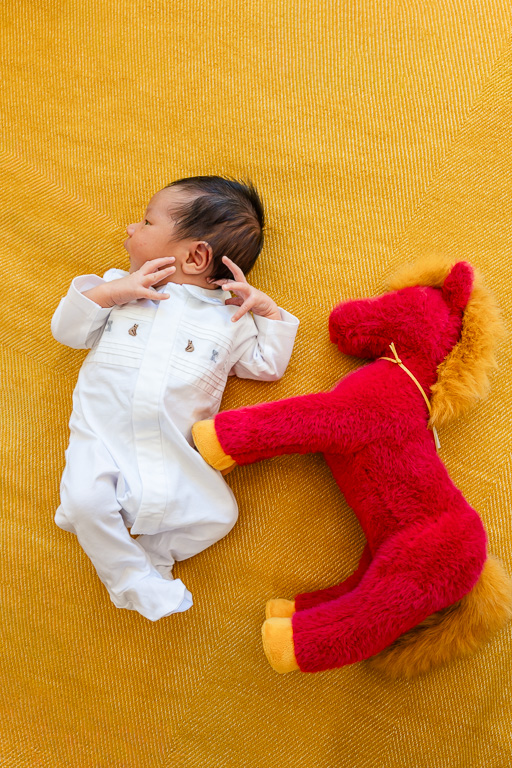 newborn baby with red stuffed horse