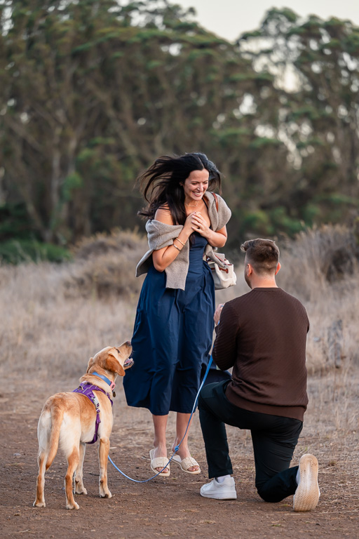 dog looking at mom while she's being proposed to