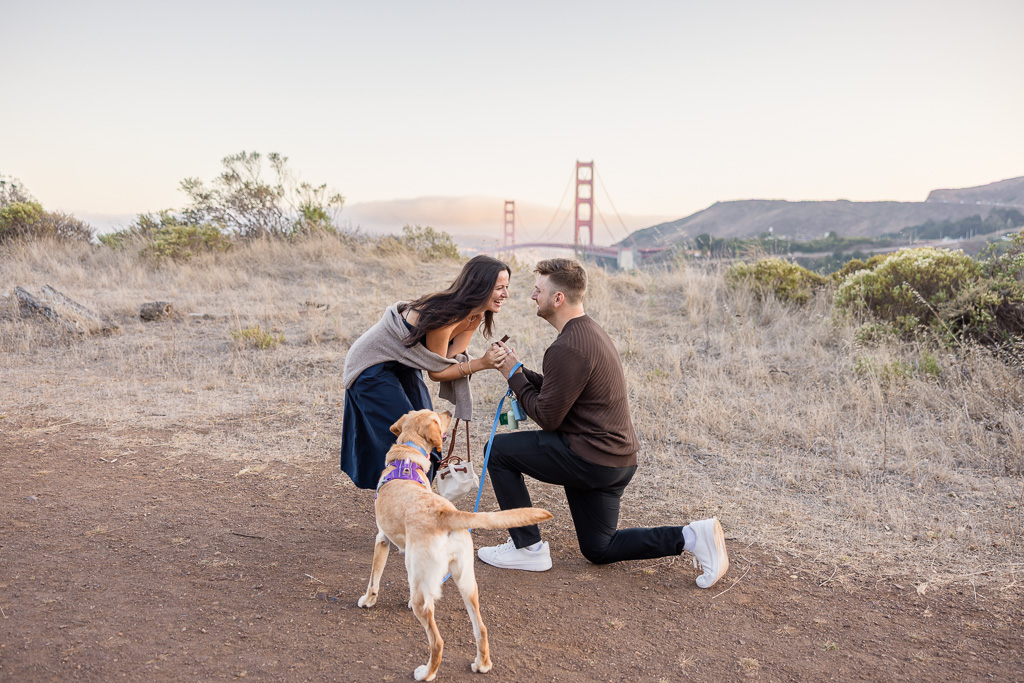 marriage proposal on a yellow grassy trail with the Golden Gate Bridge off in the distance