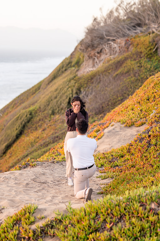 San Francisco surprise proposal with ocean view