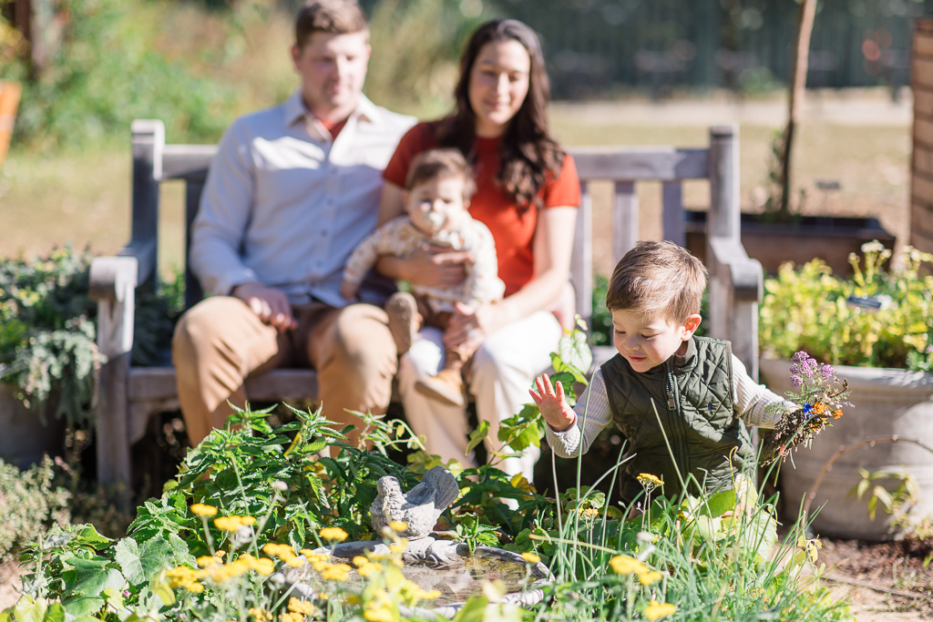 A young boy explores the flowers in the foreground while his family sits together on a garden bench behind him.